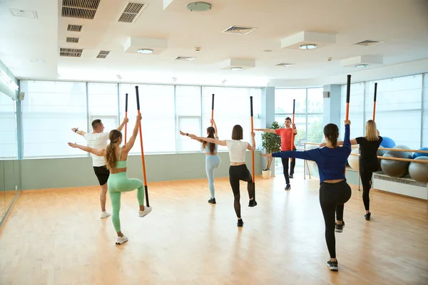 Koçu dengeleyen bir grup insan ayaklarına jimnastik çubukları dayayarak dengede duruyorlar. Fitness, spor, eğitim, spor salonu ve yaşam tarzı konsepti