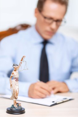 Professional lawyer holding folder