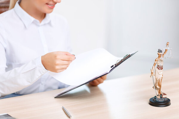 Charming lawyer sitting at the table