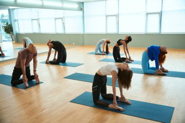 Yoga koçu ve spor salonunda esneyerek spor minderinde poz veren sporcular. Sağlıklı yaşam tarzı, spor, jimnastik, yoga stüdyosu