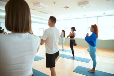 Yoga dersinde Vatayanasana yapan sporcular. Sağlıklı yaşam tarzı, spor, jimnastik, yoga stüdyosu
