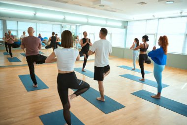 Bir grup sporcu gözlerini kapatıyor, yoga yapıyor, Vrksasana egzersizinde duruyor. Sağlıklı yaşam tarzı, spor, jimnastik, yoga stüdyosu