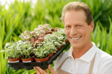 Nice florist holding flower pot