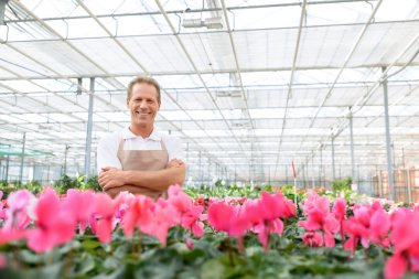 Professional florist workin gin the greenhouse