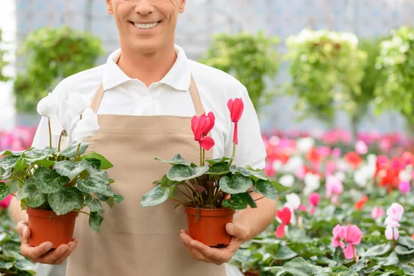 Floristería profesional trabajando en el invernadero — Foto de Stock