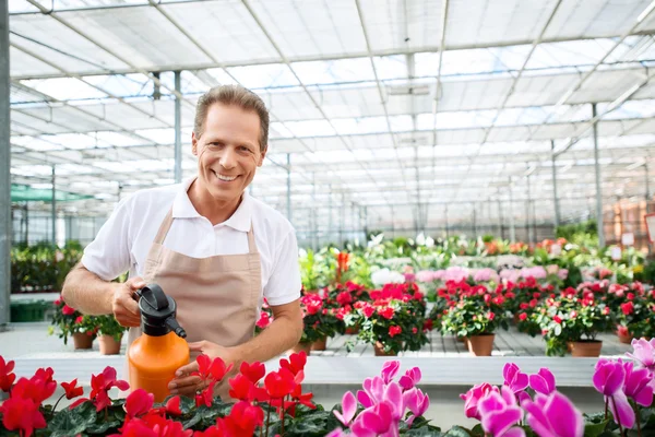 Professional florist workin gin the greenhouse