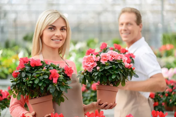 Bonitos floristas trabajando en el invernadero — Foto de Stock