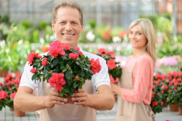 Bonitos floristas trabajando en el invernadero — Foto de Stock