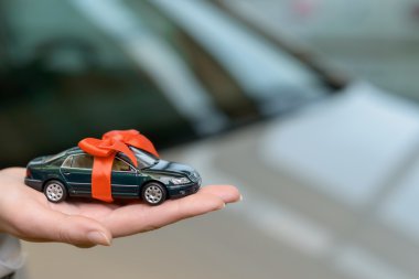 Small souvenir car on saleswoman palm.