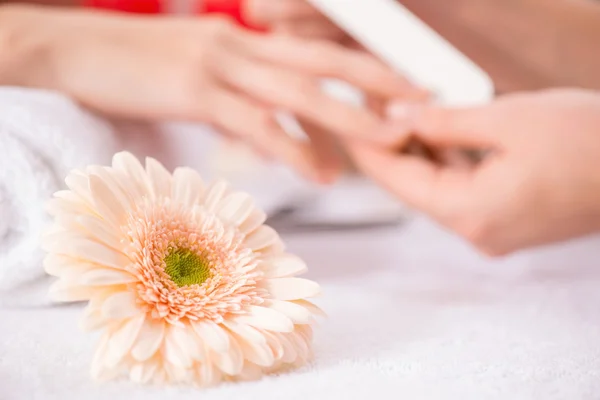 Professional manicurist  making manicure — Stockfoto