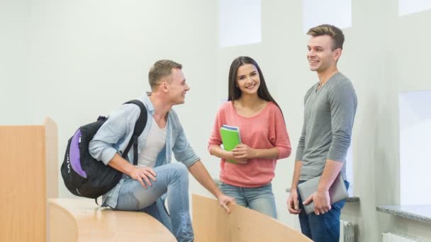 Les camarades étudiants communiquent joyeusement . — Video