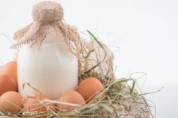 Huevos y leche están en nido decorativo . — Foto de Stock