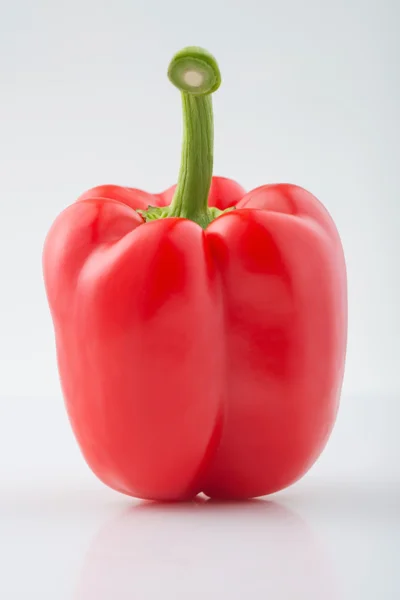 Big red pepper is on white surface — Stock Image Big red pepper is on white surface Stock Image