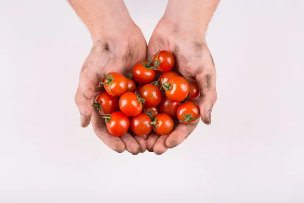 Hands filled with fresh cherry tomatoes — Stock Photo, Image