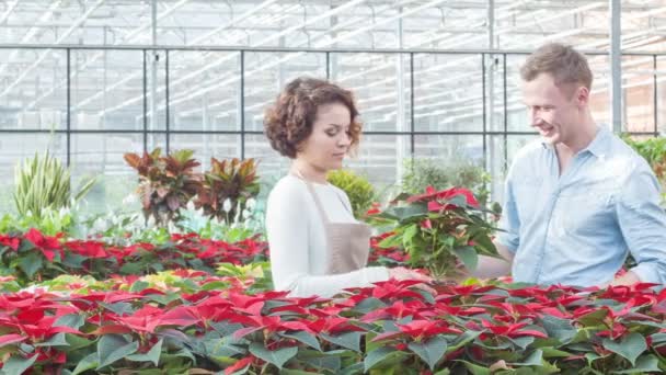 Floristería útil trabajando con el cliente . — Vídeo de stock