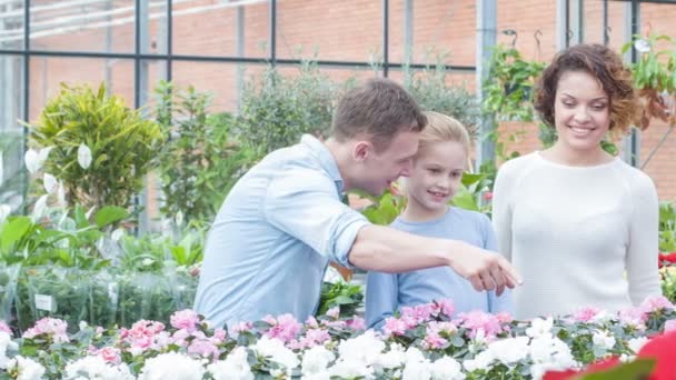 Young family choosing flowers in the greenhouse. — Stock Video