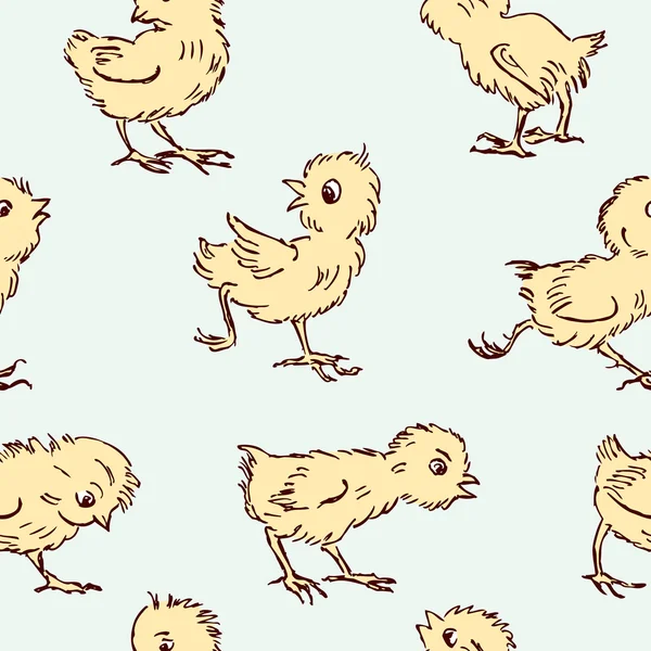 Modèle des poulets — Image vectorielle