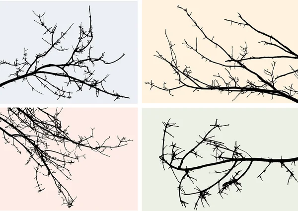 Silhouettes des branches — Image vectorielle