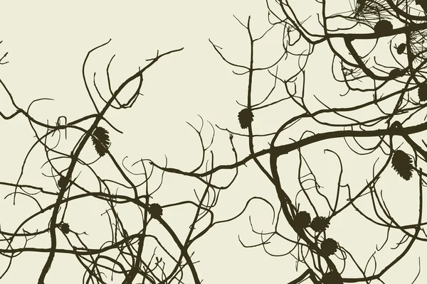 纠结的松枝 — 图库矢量图片