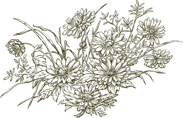 Bouquet de la marguerite — Image vectorielle