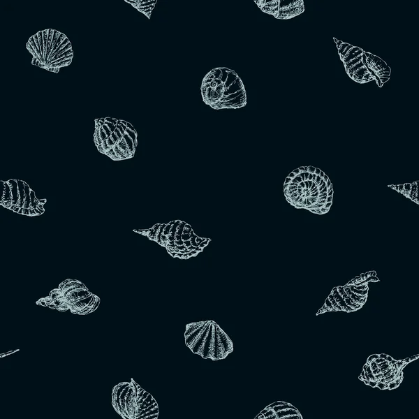 Patrón de las conchas marinas — Archivo Imágenes Vectoriales