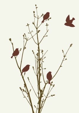 birds in the spring clipart