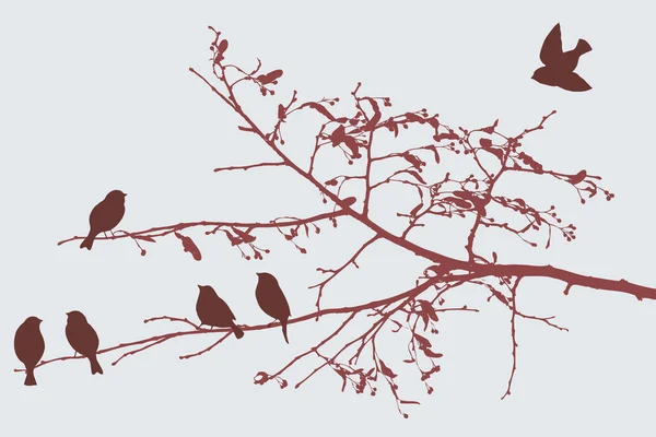 Aves en el otoño — Vector de stock