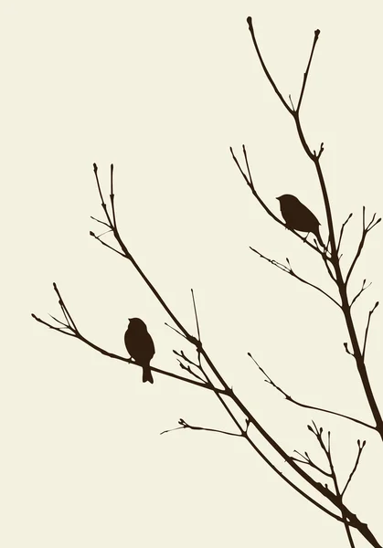 Ptáci na větve — Stockový vektor