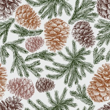  çam kozalakları ve çam dalları