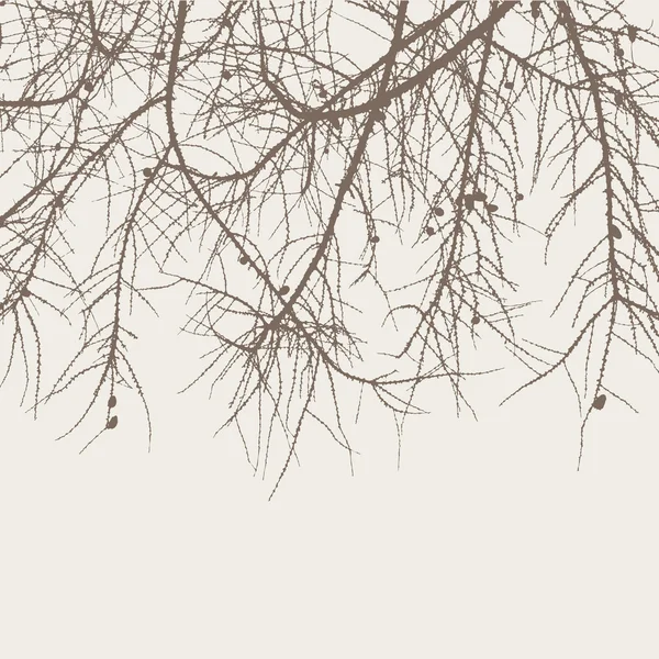 Ветви елки — стоковый вектор
