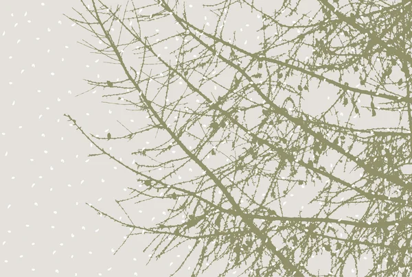 Branches de sapin silhouettes — Image vectorielle