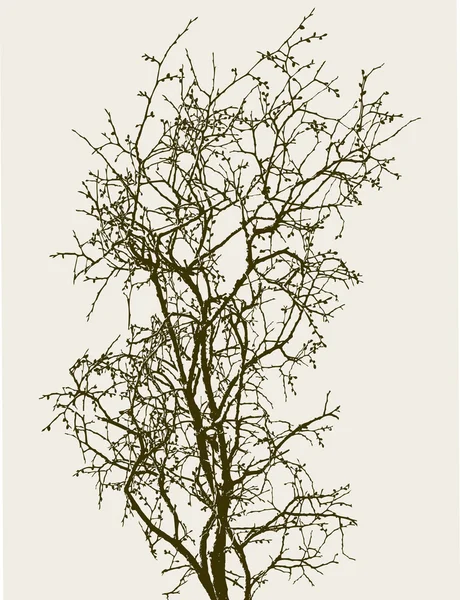 Drzewko z pąków — Wektor stockowy