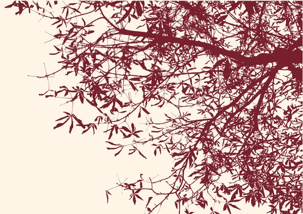 Силуэт лиственного дерева. — стоковый вектор