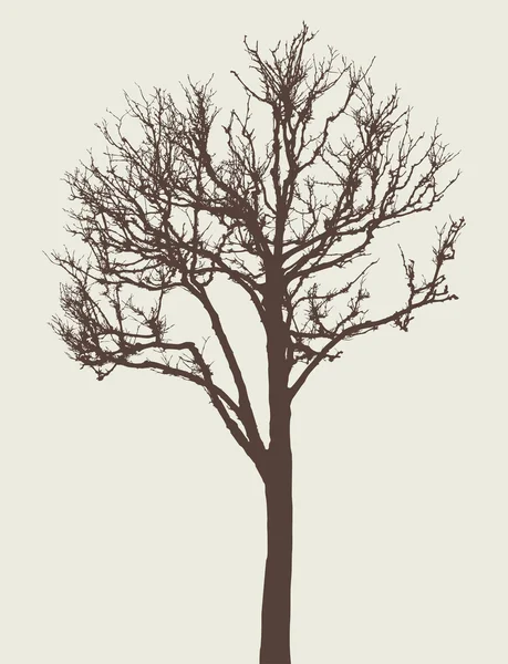 Silhouette di un albero — Vettoriale Stock