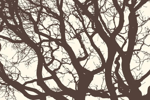 Силуэты деревьев — стоковый вектор