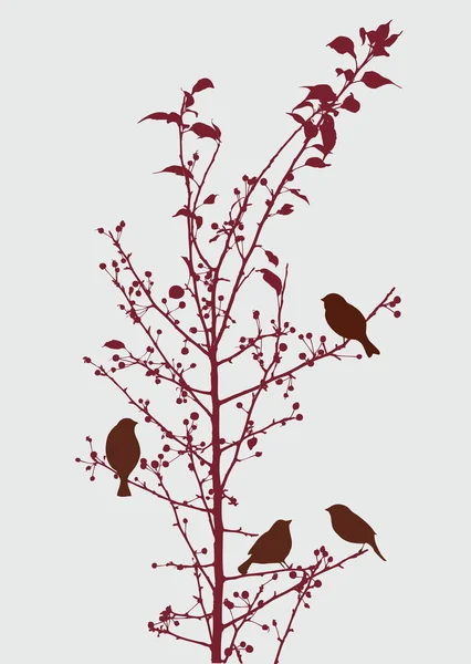 Gorriones en las ramas — Archivo Imágenes Vectoriales