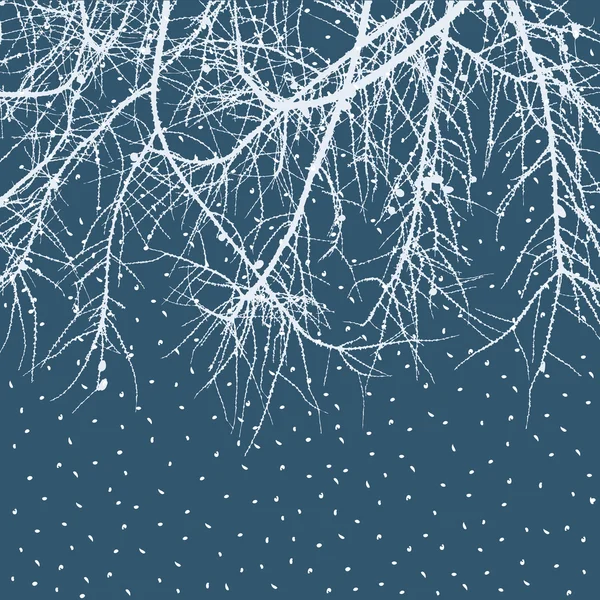 Branches de pin en hiver — Image vectorielle