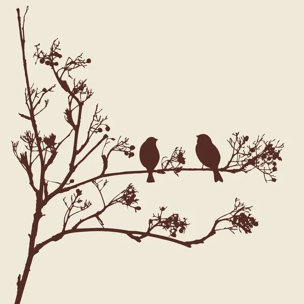 Sparrows on a twig — Stock Vector
