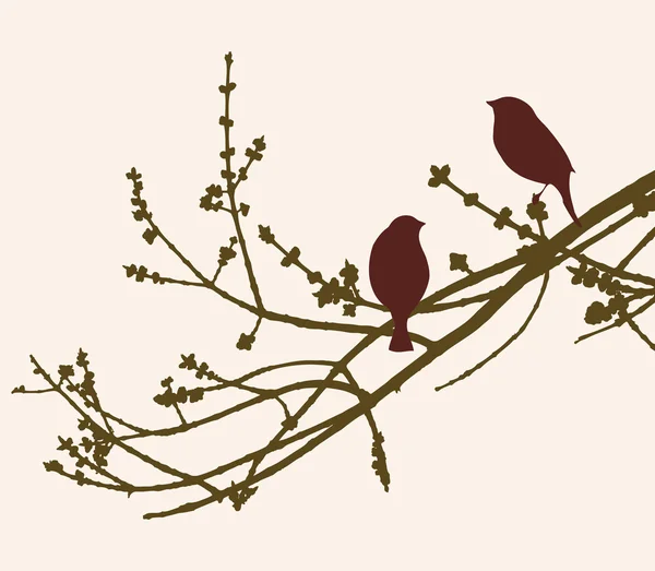 Pájaros en el árbol de primavera — Vector de stock