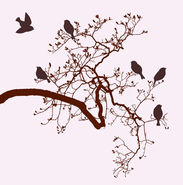 Pájaros en una rama de árbol — Vector de stock