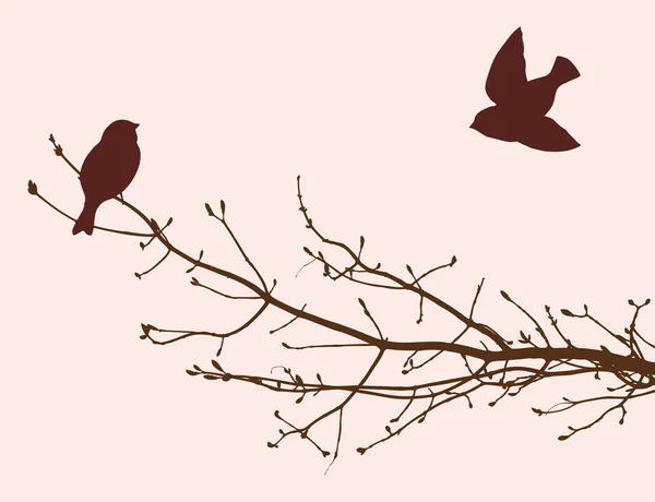 Aves en la temporada de primavera — Vector de stock