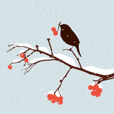  Serçe dağ kül dalı