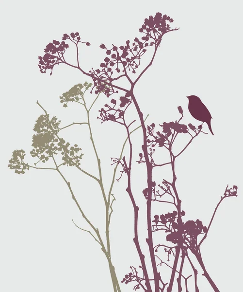 Oiseau sur les fleurs de prairie — Image vectorielle
