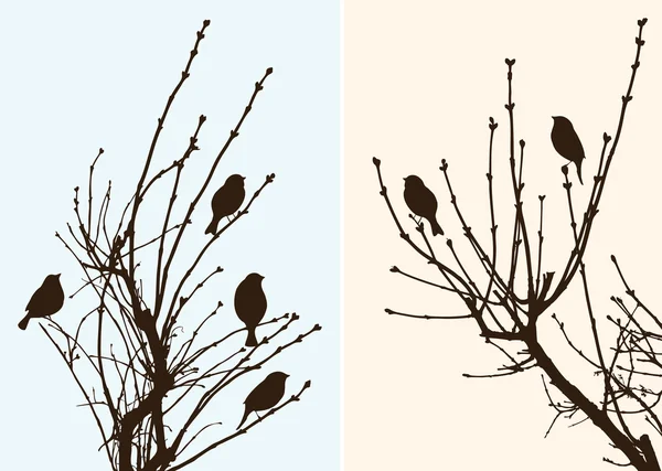 Uccelli sui ramoscelli — Vettoriale Stock