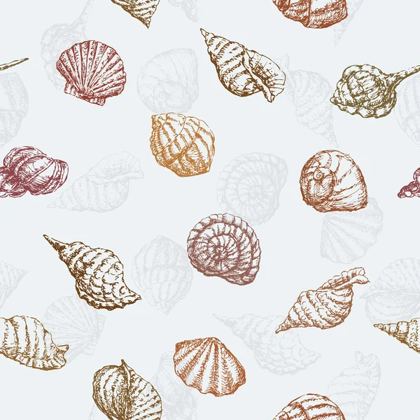 Pattern of the sea shells — Stock Vector