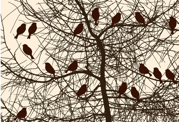 나무에 새 들의 실루엣 — 스톡 벡터