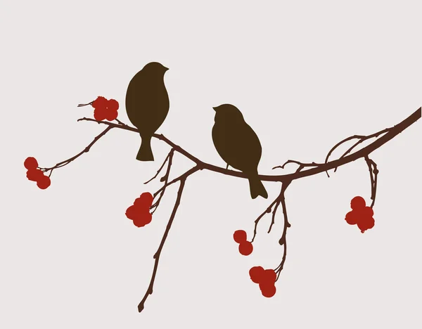 Vrabci na větvi jasanu — Stockový vektor
