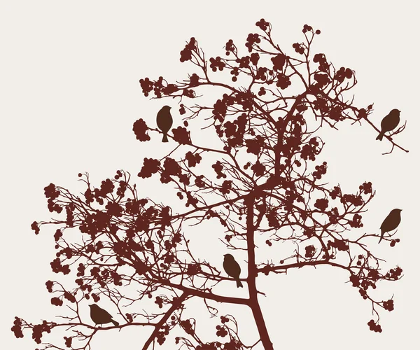 Birds on the rowan tree — Stock Vector