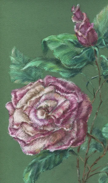 Desenho de pastel de uma rosa — Fotografia de Stock