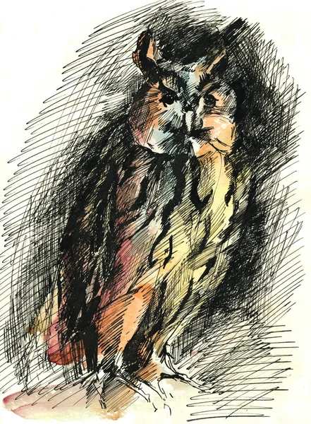 Σκίτσο του μια κουκουβάγια — Φωτογραφία Αρχείου